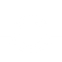 SteerBridge logo