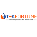 TEKFORTUNE INC logo