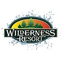 Wilderness Resort logo