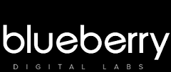 Blueberry Labs logo