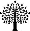 TaraVista Behavioral Health logo