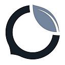 Chestnut Carbon logo