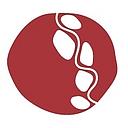 Aurora Education Foundation logo