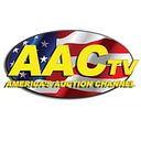America's Auto Auction Austin logo