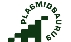 Plasmidsaurus logo