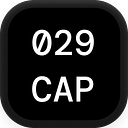 029 logo