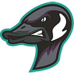 Rochester Honkers logo
