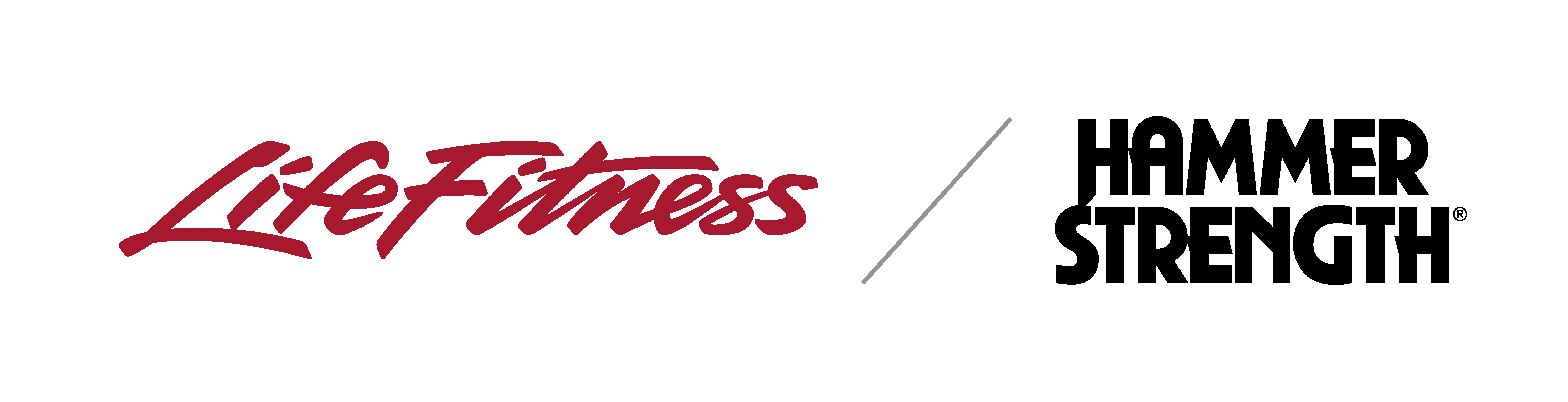 Life Fitness logo