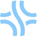 Salute Medical Transportation logo