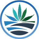 High Tide logo