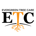 Evergreen Tree Care logo