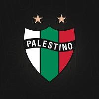 Club Deportivo Palestino logo