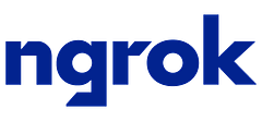 ngrok logo