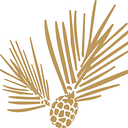 North State Aviation logo