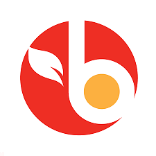Bravo logo