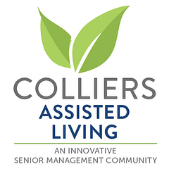 Innovative The Pointe logo