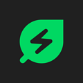 Renew Home logo