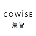 Cowise Group logo