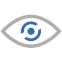 CRV Surveillance logo