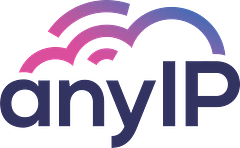 anyIP logo