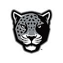 San Antonio logo