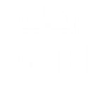 EverStrive Solutions logo