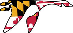 Washington College (Maryland) logo