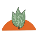 Bay Leaf LLC logo