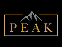 Peak Venture Group logo