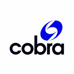 Cobra Instalaciones Y Servicios Sucursal S.A logo