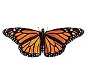 Monarch logo