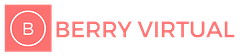 Berry Virtual logo
