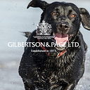 Gilbertson and Page / BSG Canada logo