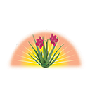 Lily of the Desert logo