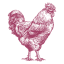 PCC Community Markets logo