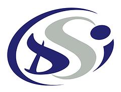 DSI Entreprise Adaptée etlusive logo