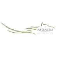 Pegasus Corporate Solutions logo