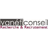 Vanefi logo