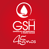 Grupo GSH logo