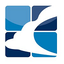 Blusky Restoration Contractors, LLC logo