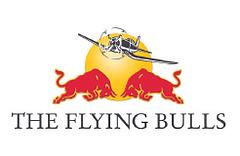 Red Bull logo