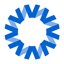 National Vision, Inc. logo