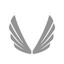 ASRV Sportswear logo