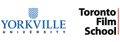 Yorkville University logo