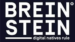 Breinstein detachering logo