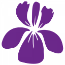 LIRIO RESOURCES INC logo