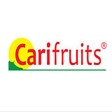Carifruits N.V., producent van Coropina, Yep! en Alo logo