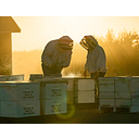 Pomona Farming LP logo