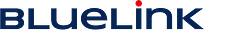 BlueLink International logo