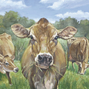 Riverbend Creamery logo